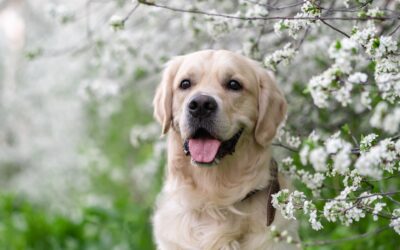 Spring 2026 Newsletter